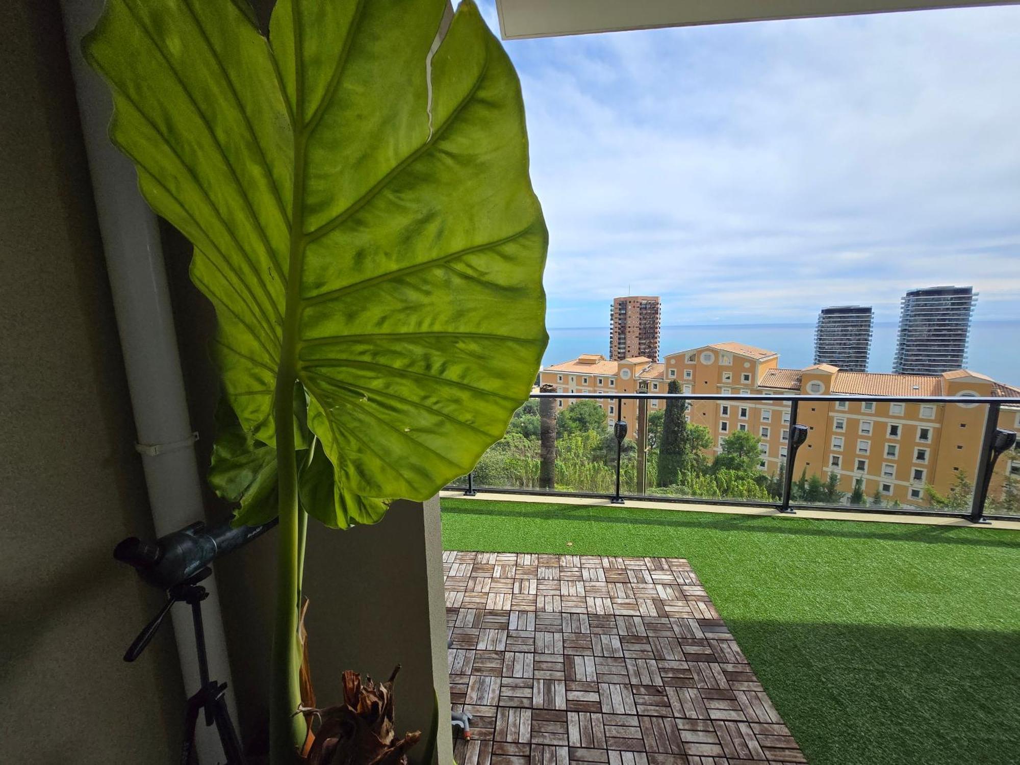 Monaco View, Pool, Garage, 100 M2 Terrace Διαμέρισμα Beausoleil Εξωτερικό φωτογραφία
